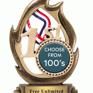 1st Place Flame Insert Trophy
