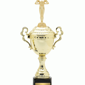 Championship Cup Trophy