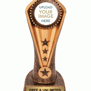 Cobra Custom Insert Award