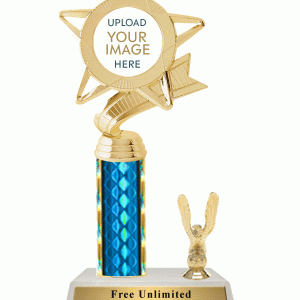 Single Column Custom Insert Trophy With Trim