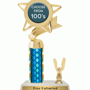 Column Insert Trophy With Trim