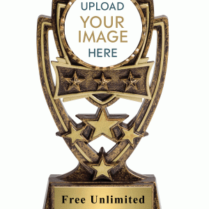 Four Star Custom Insert Trophy