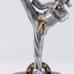 Prestige Karate Trophy - Female
