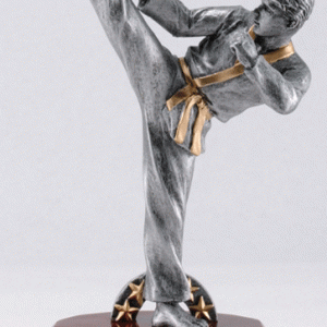 Prestige Karate Trophy – Male