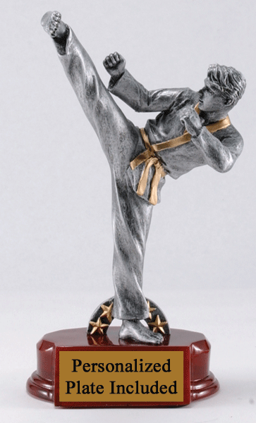 Prestige Karate Trophy – Male - Medals Award SKU: RFC769 Medals Award 客製 - Medals Award Prestige Karate Trophy – Male