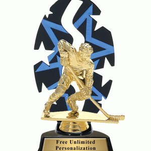 Star Backdrop Hockey Trophy