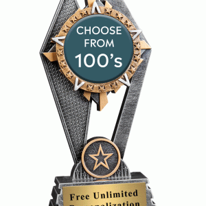 Sun Ray Insert Award