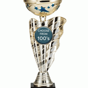 Swirl & Blue Star Insert Cup